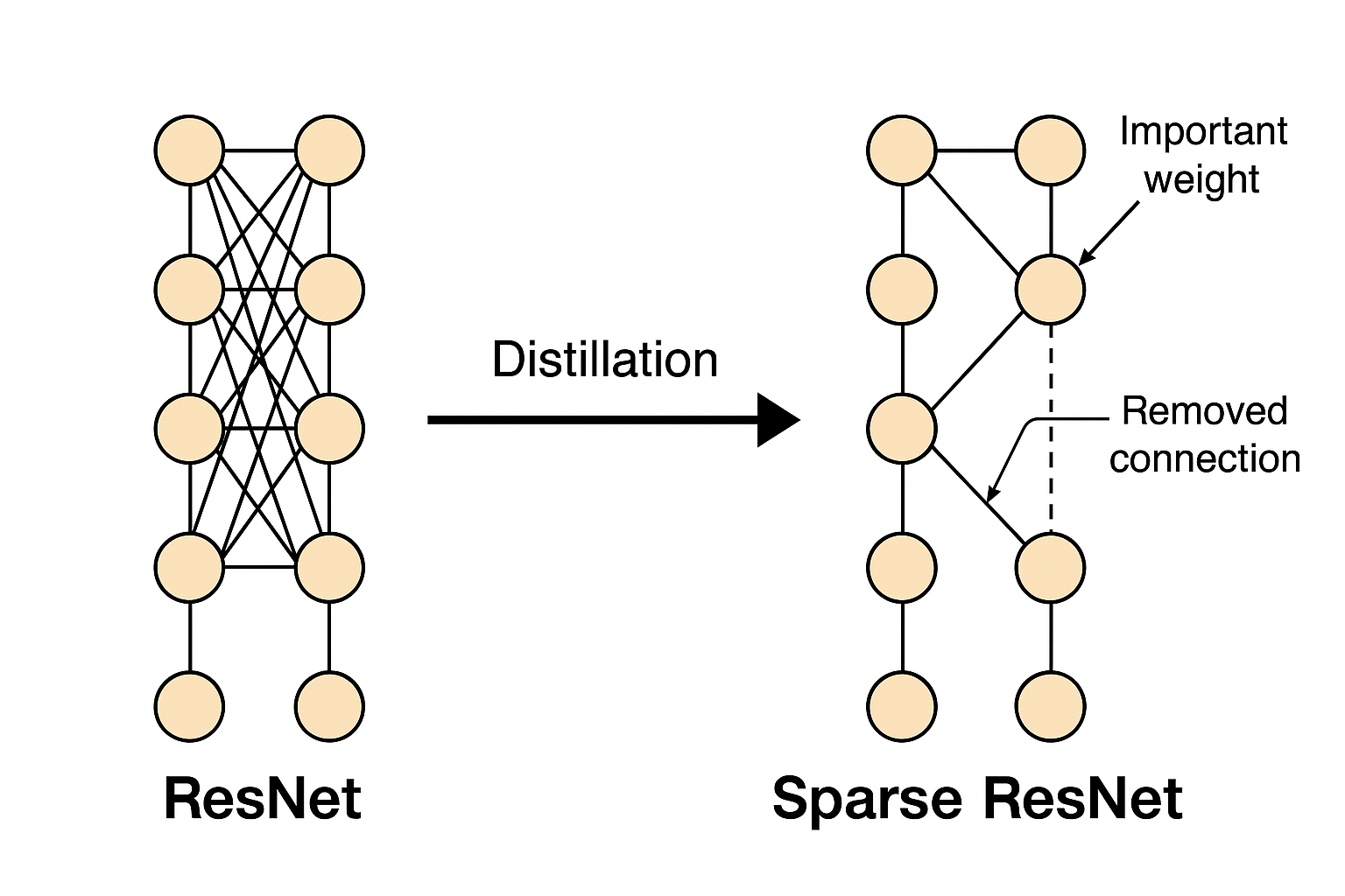ResNet Sparse Distillation