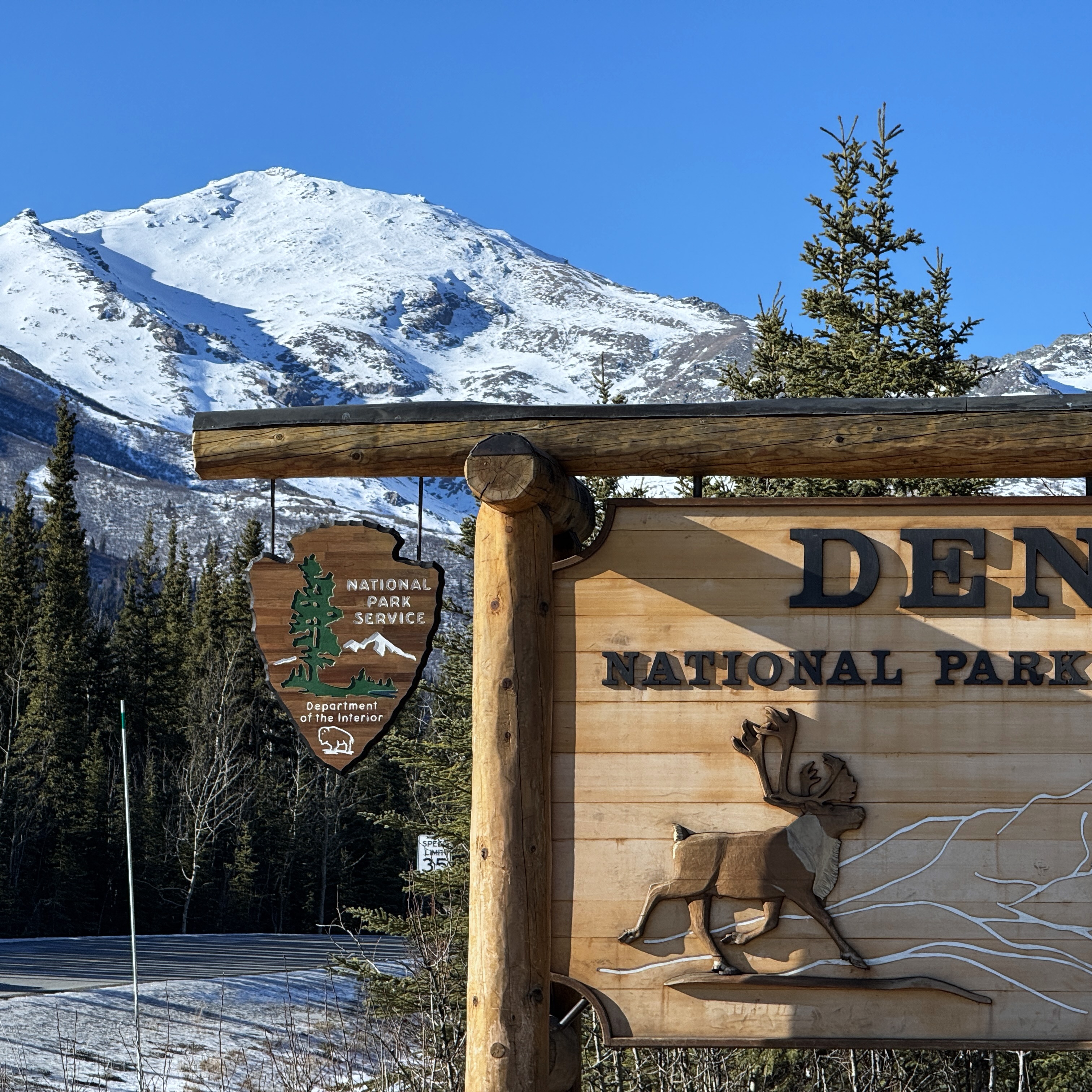 Scenic view of Denali National Park